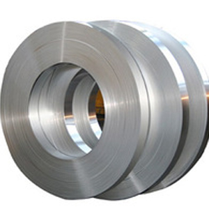 Inox 301