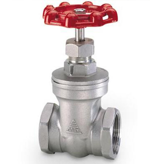 Valve Bướm Inox SUS 304